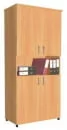 Шкаф комбинированный (42.31)_0