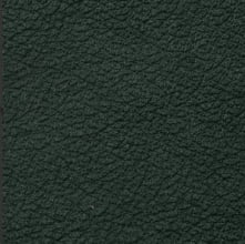 Consul Green (кожа)