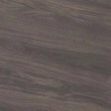 Дуб Пасадена