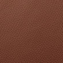 Коричневая кожа