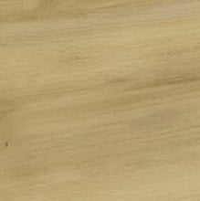 Дуб Винченцо