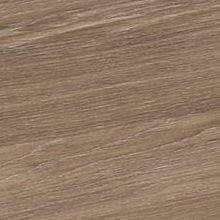 Дуб Аризона