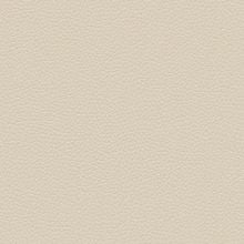 Экокожа бежевая (794-702)