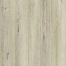 Дуб Кронберг