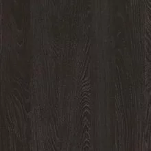 Дуб Кентербери