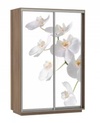 Шкаф-купе двухдверный Экспресс Дуо 1400х2200h Белая орхидея/Ясень шимо тёмный