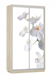 Шкаф-купе двухдверный Экспресс Хит Орхидея белая/Дуб сонома