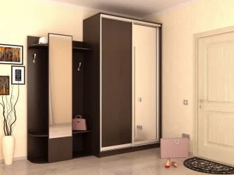 Шкаф-купе венге Хит-24-12-15 Аруба Венге