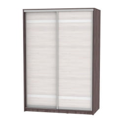 Шкаф-купе B-230х160х60-1(ЯАТ-ЯАС-D9D9)