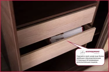 Двустворчатый гардеробный шкаф Хит-23-12-77 Орхидея Ясень шимо светлый