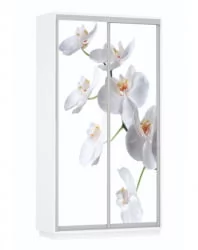 Шкаф-купе двухдверный Экспресс Дуо 1200х2200h Орхидея белая/Белый снег