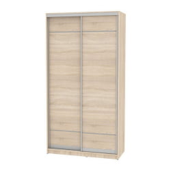 Шкаф-купе B-220х120х60-2(ДСС-D7D7)