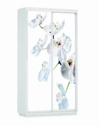 Шкаф-купе белый лдсп Экспресс Хит Орхидея белая/Белый снег