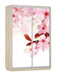 Шкаф-купе двухдверный Экспресс Дуо 1400х2200h Сакура/Дуб сонома