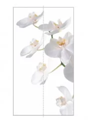 Шкаф-купе белый лдсп Экспресс Хит Орхидея белая/Белый снег