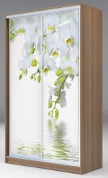 Шкаф-купе коричневый Хит-24-14-77 Орхидея Ясень шимо темный