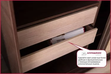 Двустворчатый гардеробный шкаф Хит-24-14-15 Аруба Венге