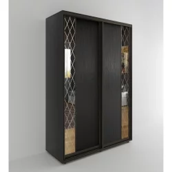 Шкаф-купе 2-х дверный Акцент-Вера ДР 1000х600 Венге