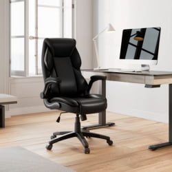 Эргономичное компьютерное кресло Еурека ОC11-Б, черное / Eureka OC11-B,