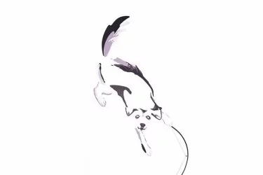 Детский шкаф для одежды Хаски 21 Дуб Ирландский Белый