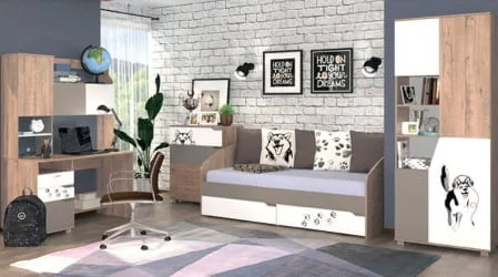 Детский шкафы-купе Хаски 23 Дуб Ирландский Белый