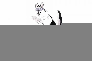 Детский шкафы-купе Хаски 23 Дуб Ирландский Белый