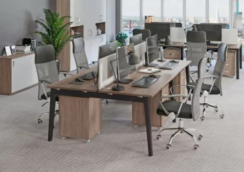 Набор мебели ONIX WOOD №2