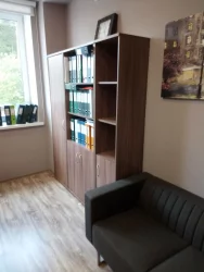 Дверь для стеллажей Д-3 правая ясень шимо