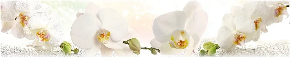 Глянцевый фартук (КОМПОЗИТ) KM 155