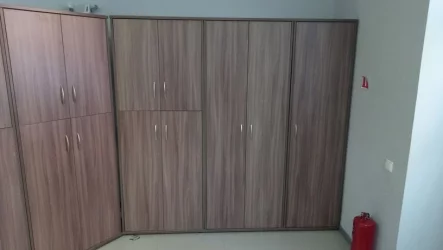 Шкаф для одежды ГБ-2 Ясень Шимо