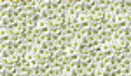 Стол обеденный Универсальный фп Ромашкм Д006 ЛДСП серый