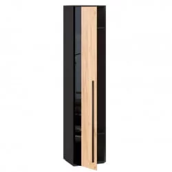 Прихожая в коридор современная Неаполь №1 Черный Дуб Золотой