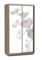 Шкаф-купе двухдверный Экспресс Дуо 1200х2400h Орхидея белая/Ясень шимо тёмный