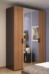 Шкаф для одежды и белья 111 Hyper Венге/Палисандр (спальня)