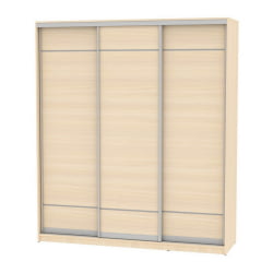 Шкаф-купе B-230х200х60-1(ДМ-D7D7D7)