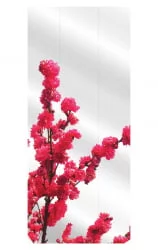 Шкаф Хоп Шелф Арт Молочный дуб