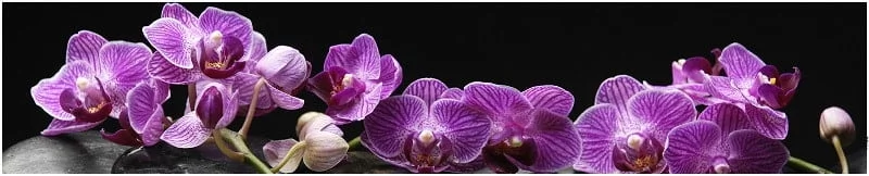 Глянцевый фартук (КОМПОЗИТ) KM 38