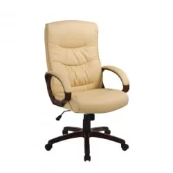 Кресло руководителя EChair-633 TR 470980 Черное