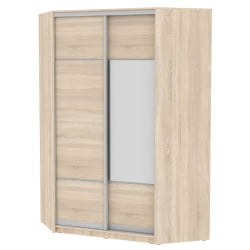 Шкаф-купе YA-230х1400-718-2(ДСС-D4D3)