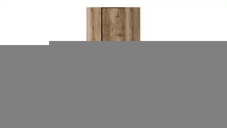 Шкаф для одежды Пилигрим ТД-276.07.23 Дуб каньон светлый/Серый