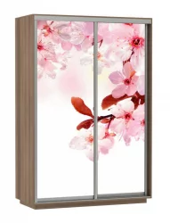 Шкаф-купе двухдверный Экспресс Дуо 1600х2400h Сакура/Ясень шимо тёмный