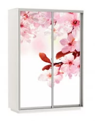 Шкаф-купе двухдверный Экспресс Дуо 1400х2400h Сакура/Белый снег