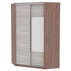 Шкаф-купе YA-230х1400-718-2(ЯШТ-ЯШС-D4D3)