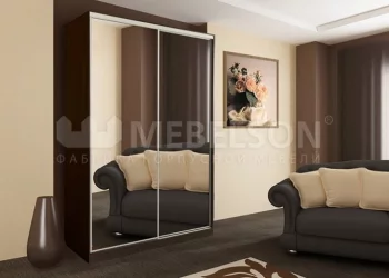 Детский шкафы-купе Рио-4 Венге