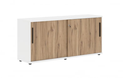 Шкаф с дверьми-купе ЕДИС ЕЛC 1643 Дуб Денвер светлый Черный Белый / EDIS ELC