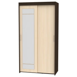 Шкаф-купе T-1-230х120х60-M(Венге-ДМ-4)