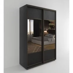 Шкаф-купе 2-х дверный Акцент-Дуэт Д 1600х600 Венге