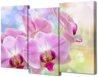 Модульная картина Toplight TL-M2075