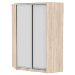 Шкаф-купе YA-230х1400-718-5(ДСС-D5D5)