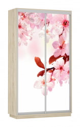 Шкаф-купе двухдверный Экспресс Дуо 1200х2200h Сакура/Дуб сонома